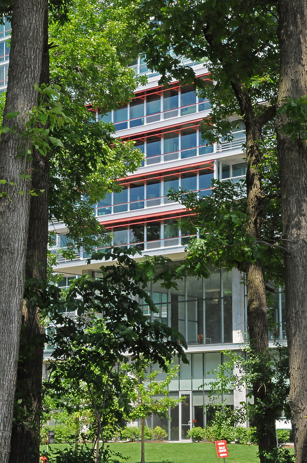 Optima Old Orchard Woods by Shawn Ursini