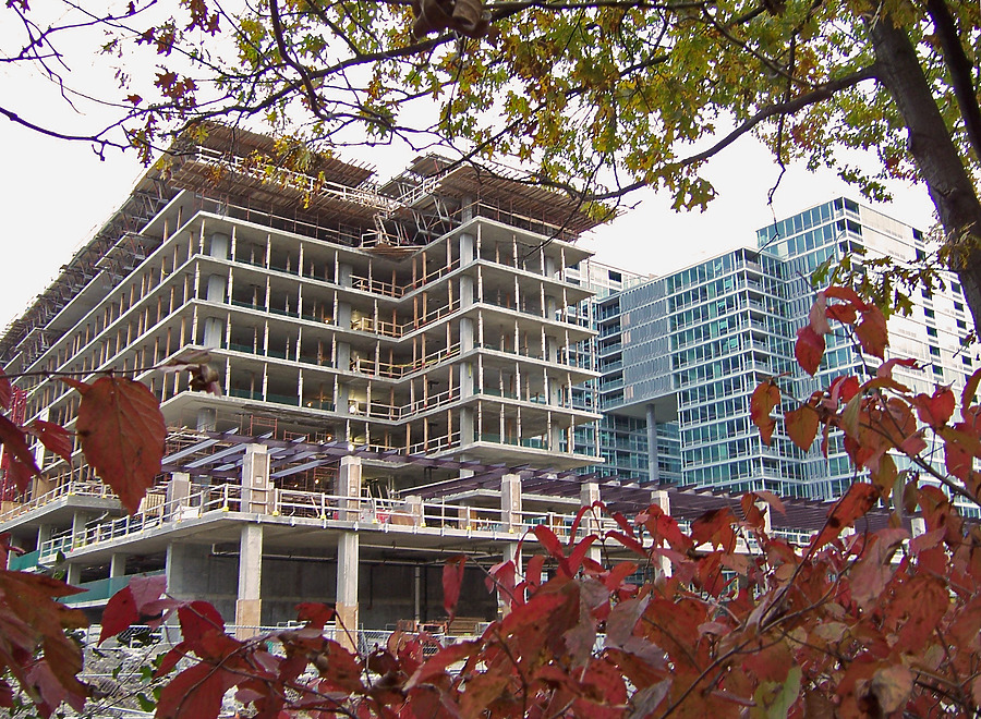 Optima Old Orchard Woods by Shawn Ursini