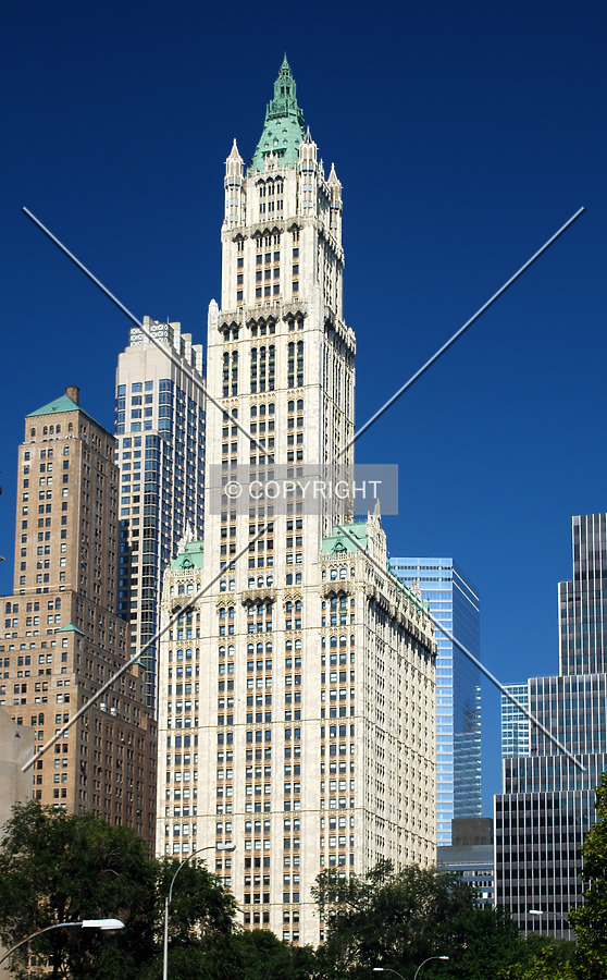 Woolworth Building by Royce Douglas