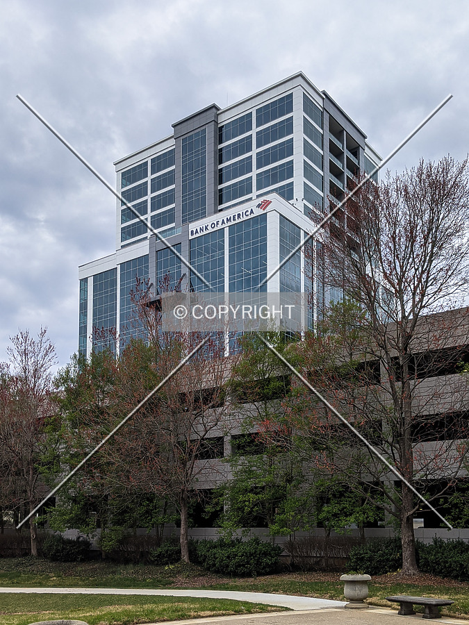 Falls Tower Camperdown by Chris Patriarca