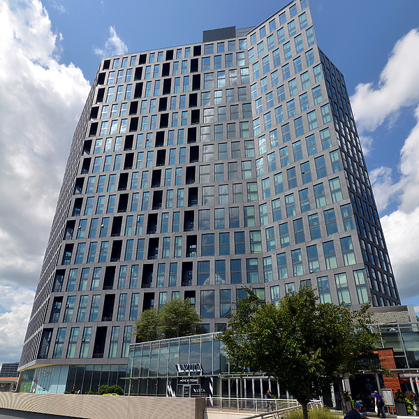 Vita by John W. Cahill