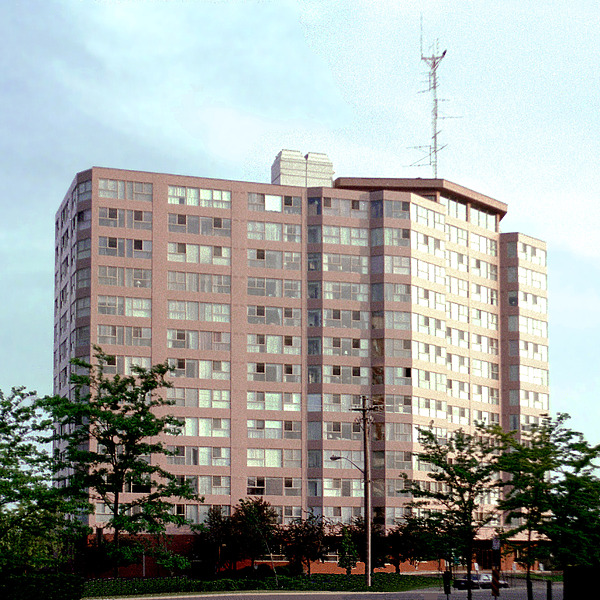 The Tower by John Cahill