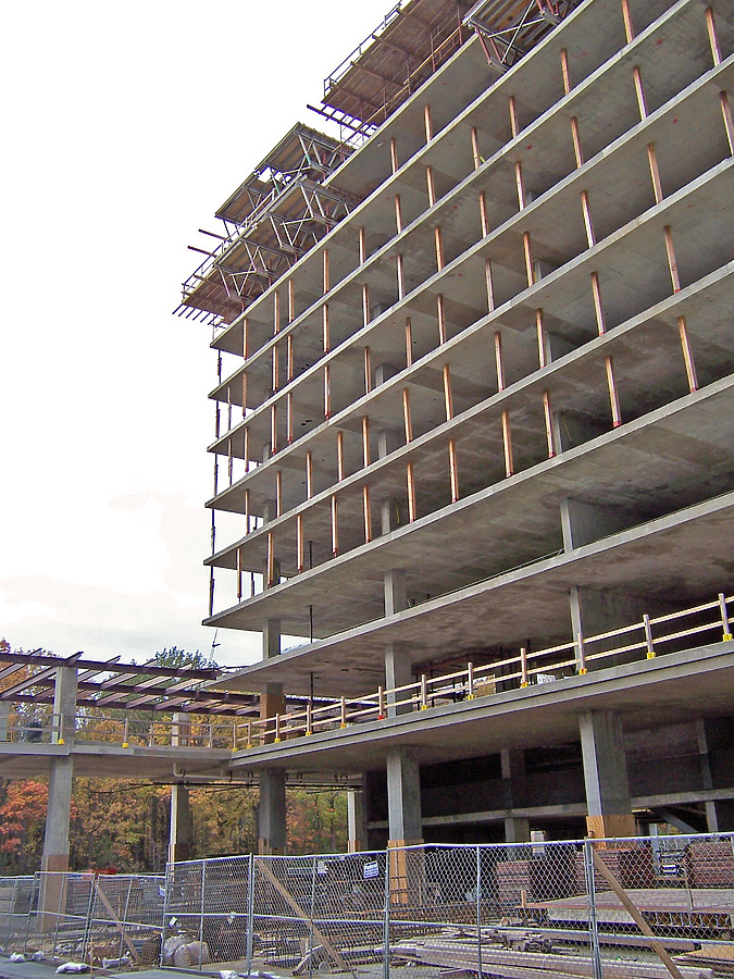 Optima Old Orchard Woods by Shawn Ursini