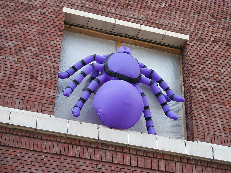 The Edge Lofts and Tower by Daniel Kieckhefer