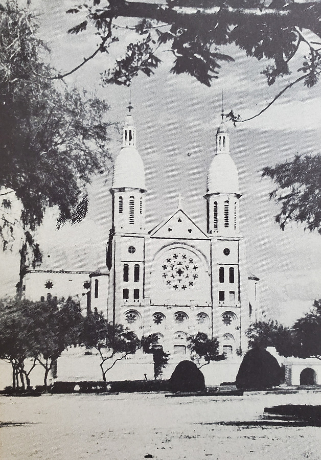 Cathédrale de PortauPrince Photo 666483604 Stock Image SKYDB