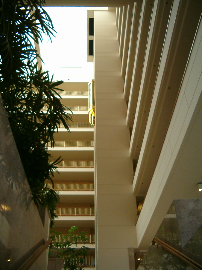 Renaissance Concourse Hotel Atlanta by Rodney Gunn