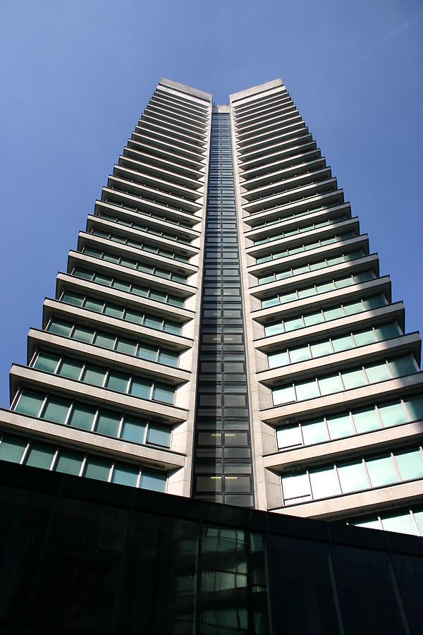 Drapers Gardens by Tristram Compton