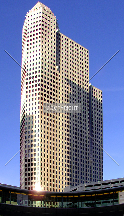 1600 Smith Street by Chris Patriarca