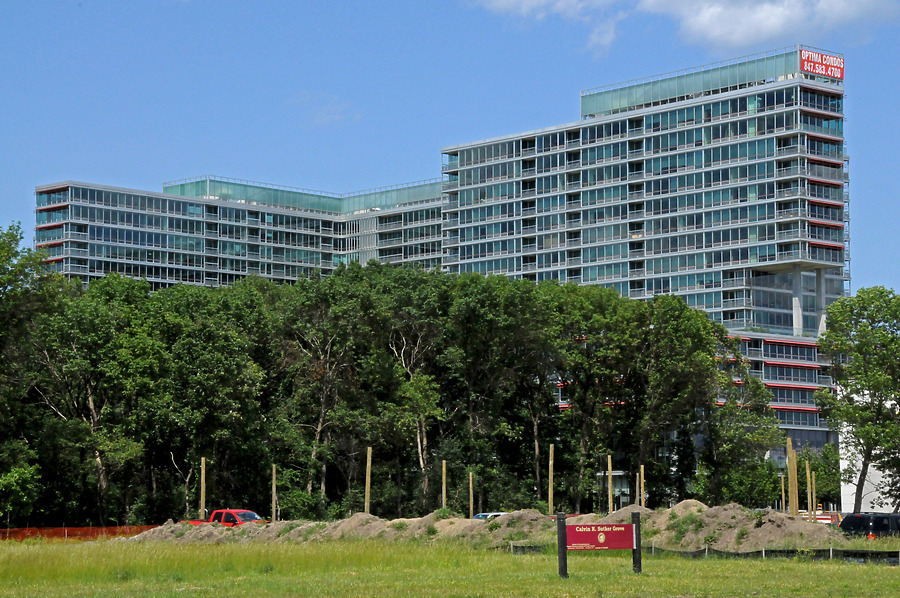 Optima Old Orchard Woods by Shawn Ursini