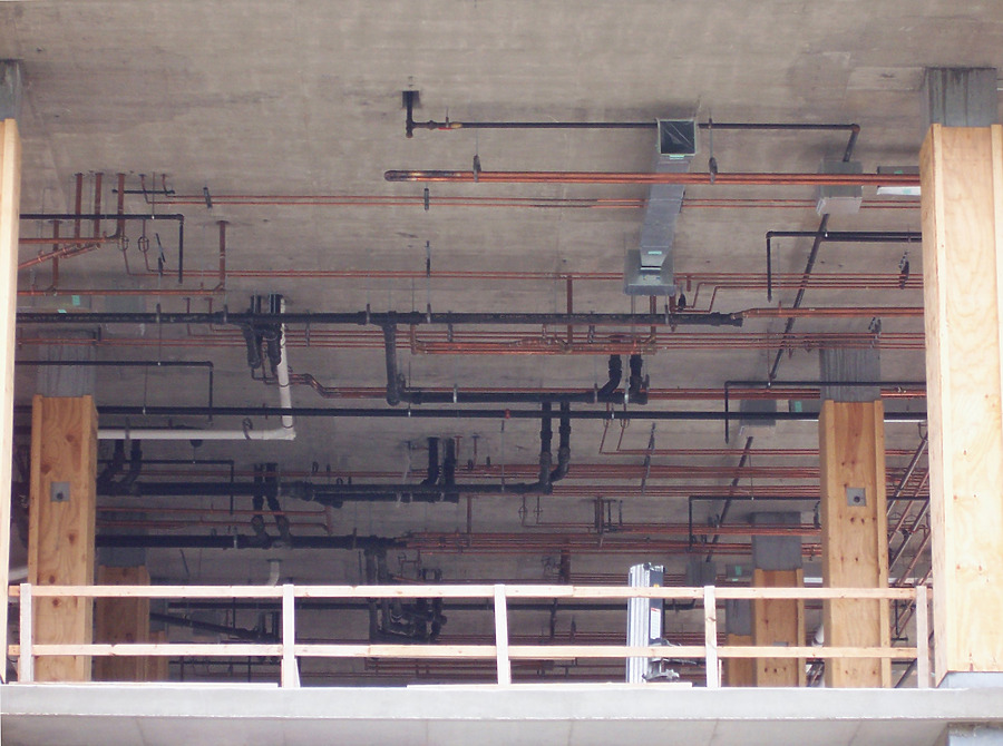 Optima Old Orchard Woods by Shawn Ursini