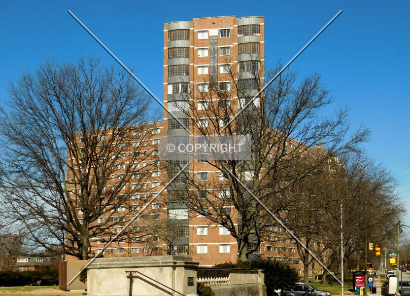 The Guilford