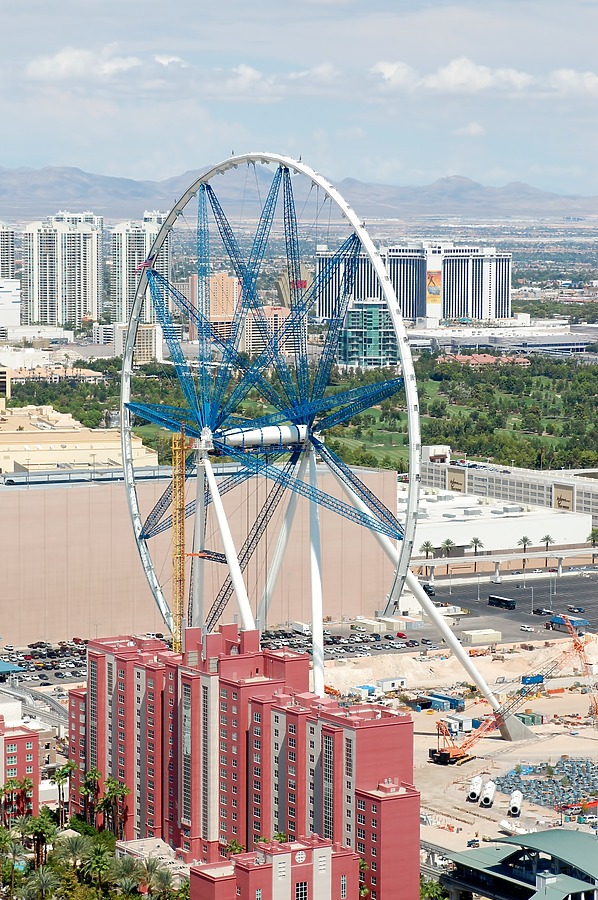 High Roller by Brian LoBue