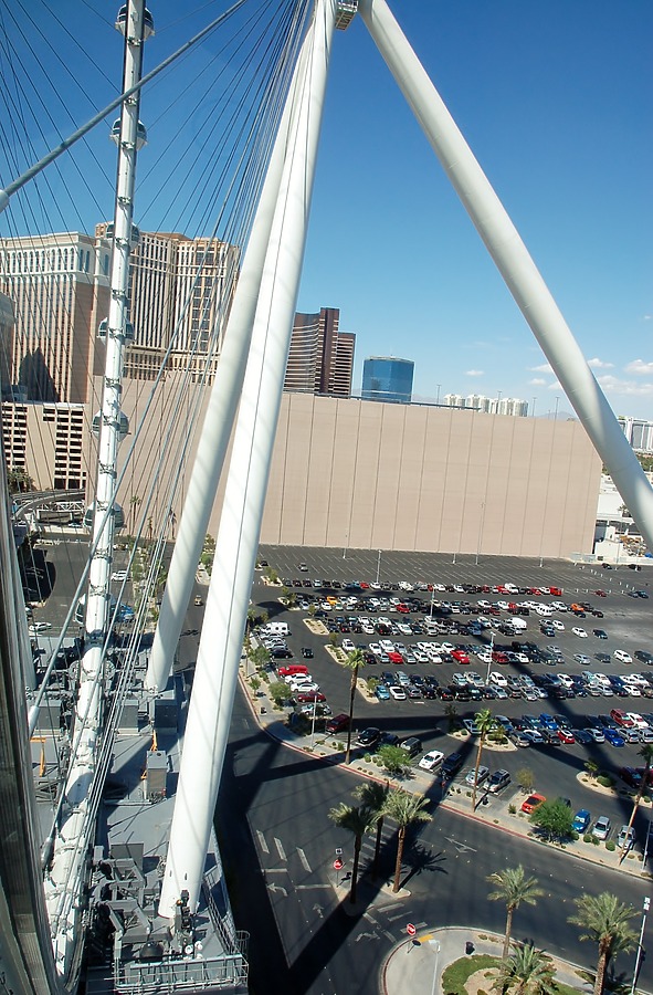 High Roller by Brian LoBue