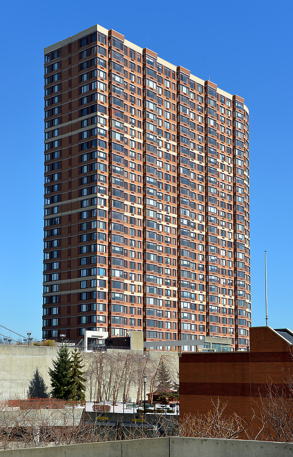 The Palisades by John W. Cahill
