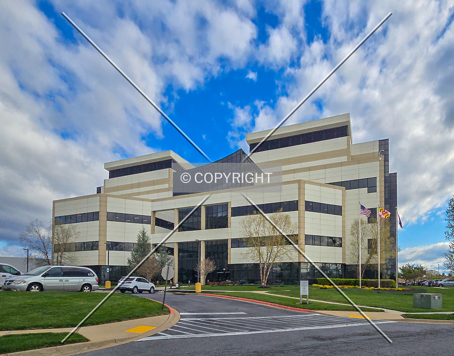 MedImmune Building by Ryan Hildebrand