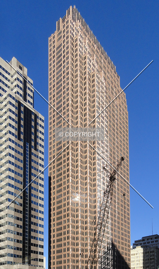 Three Logan by Chris Patriarca