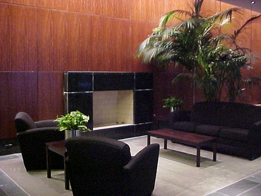 The Heritage at Millennium Park by B. Victor Adams