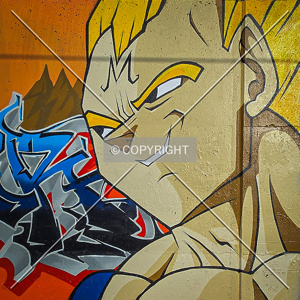 Saint Louis City Flood Wall (South Wall) by Ryan Hildebrand