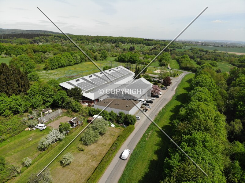 Sportpark Kelkheim