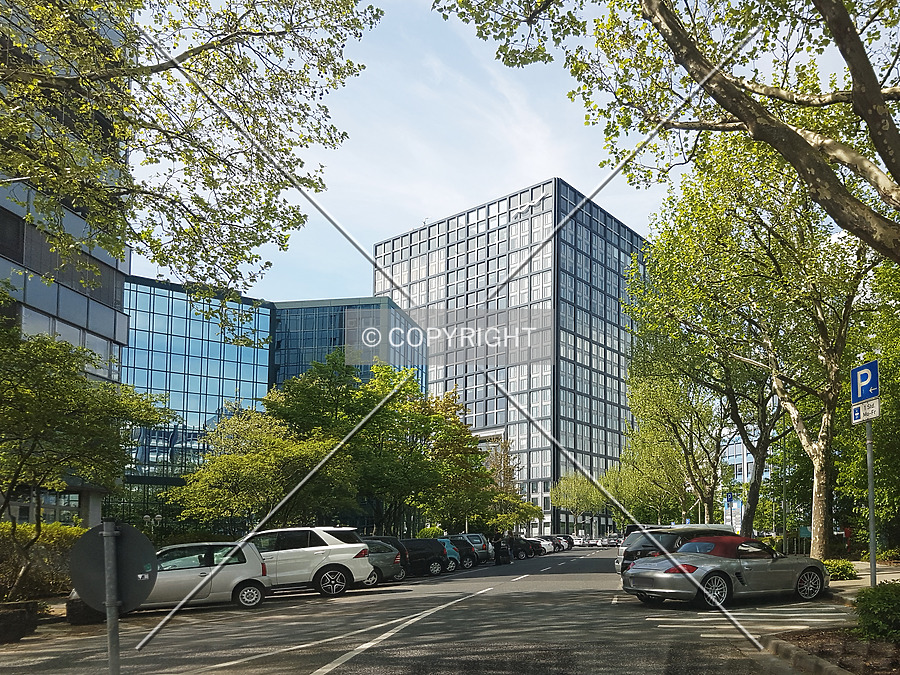 The Cube by Nephilim