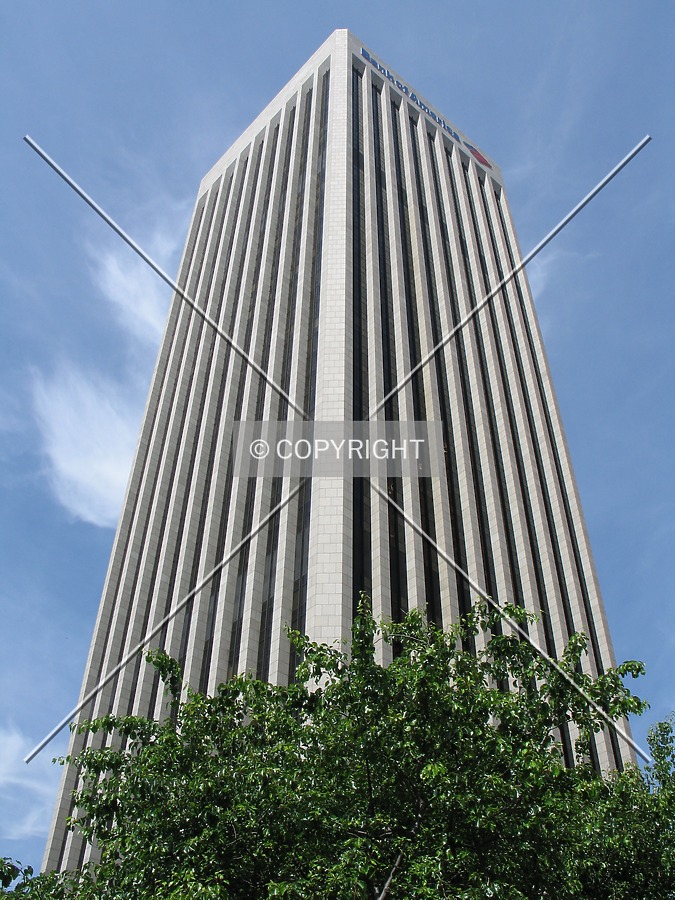 Bank of America Plaza by Emmanuel D.