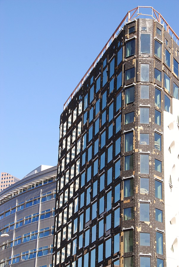 Populus by Brian LoBue