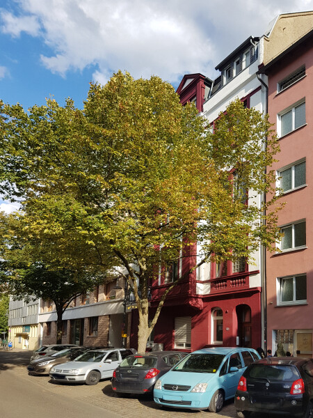 Ostendstraße 62