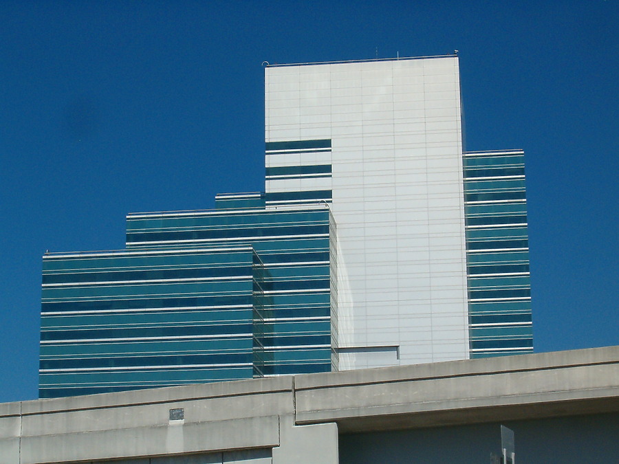 Two Prudential Plaza by Rodney Gunn