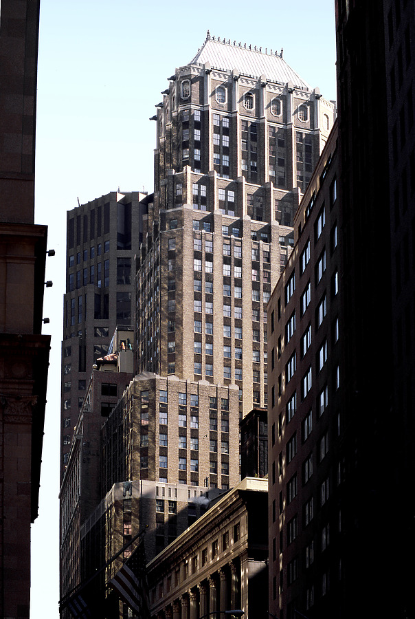 The Crest by John Cahill