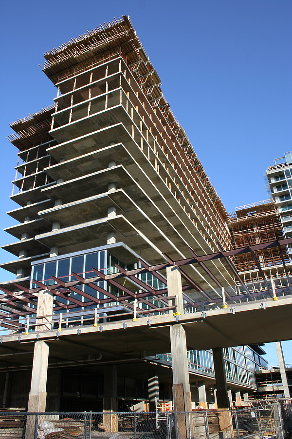 Optima Old Orchard Woods by Daniel Kieckhefer