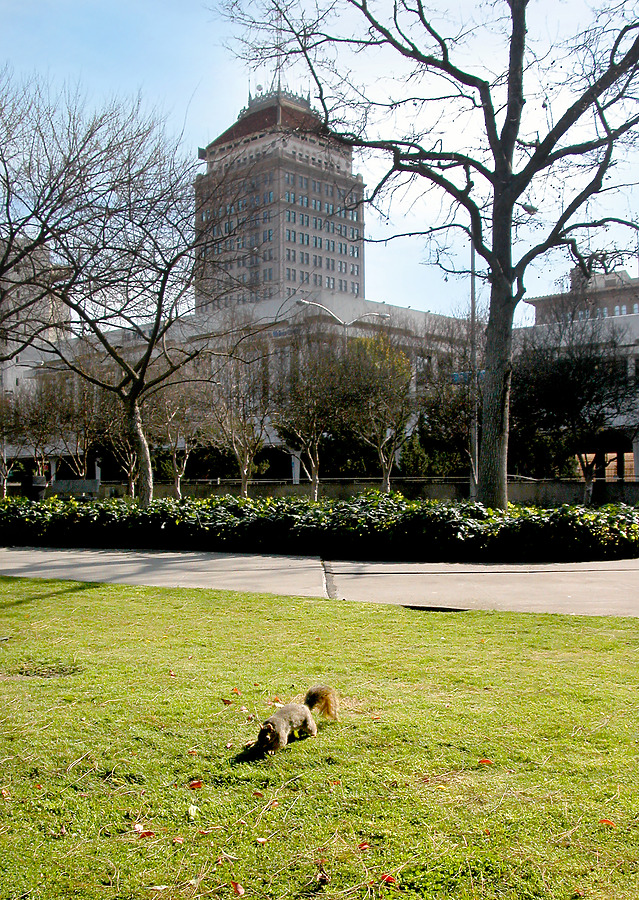 Fresno Pacific Towers by Jim Schwartz