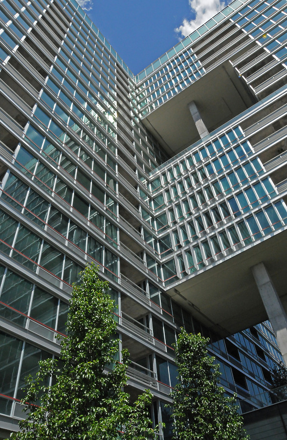 Optima Old Orchard Woods by Shawn Ursini