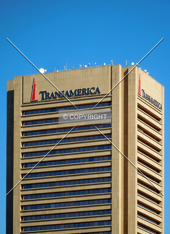 Transamerica Tower by Chris Patriarca