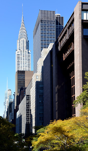Pfizer Building