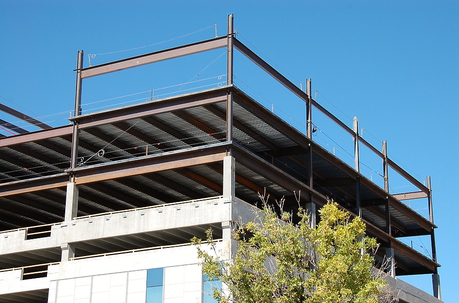 50 Fifty DTC by Brian LoBue