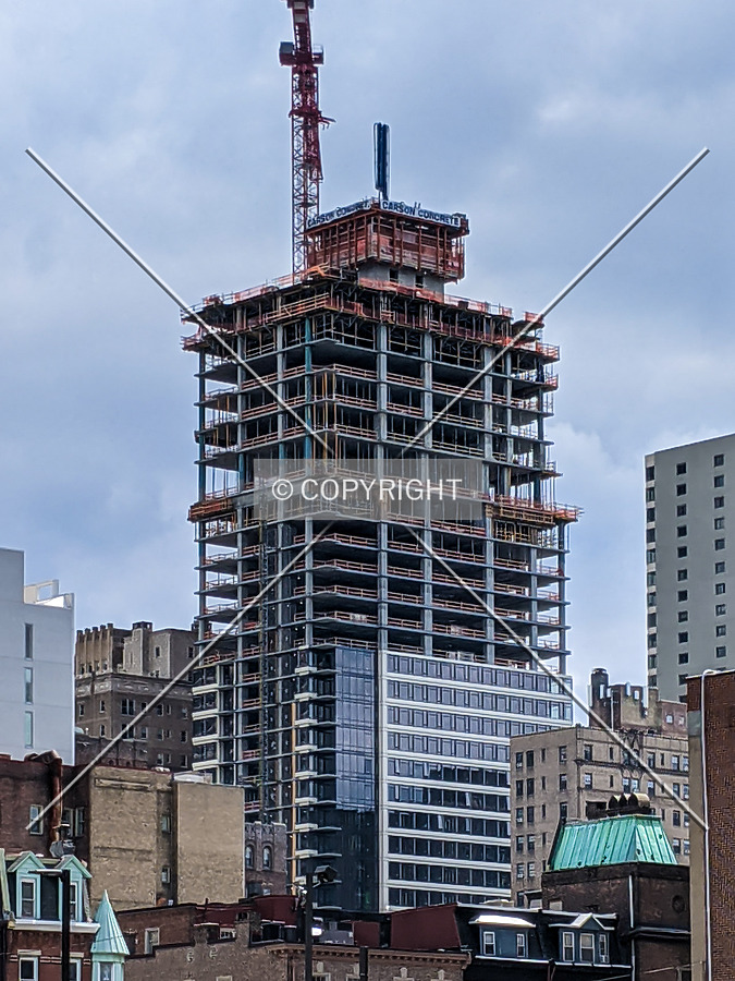 The Laurel by Chris Patriarca