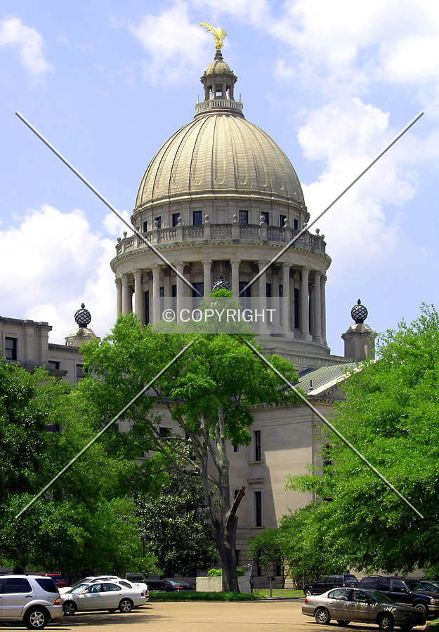 Mississippi State Capitol by Chris Patriarca