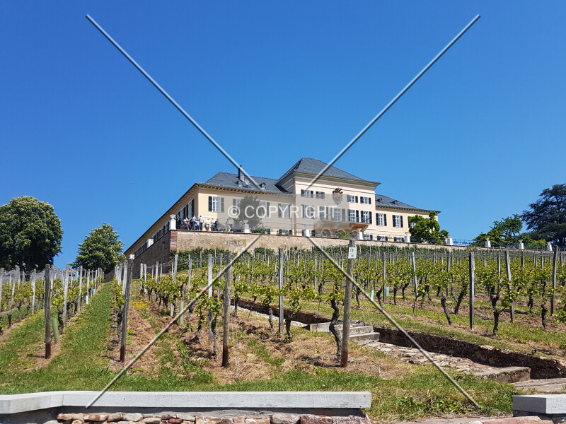 Schloß Johannisberg