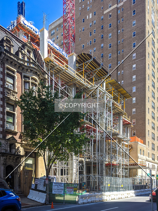 The Laurel by Chris Patriarca