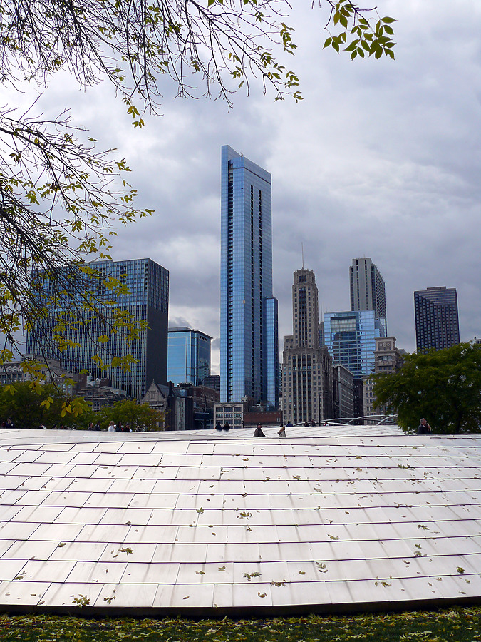 The Legacy at Millennium Park by B. Victor Adams