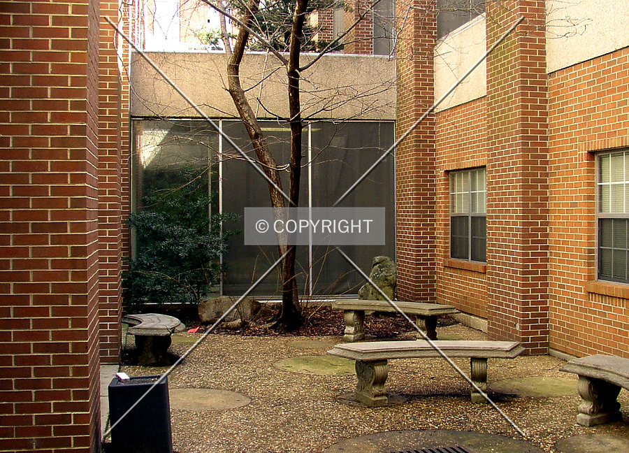 Tutwiler Hall by Chris Patriarca