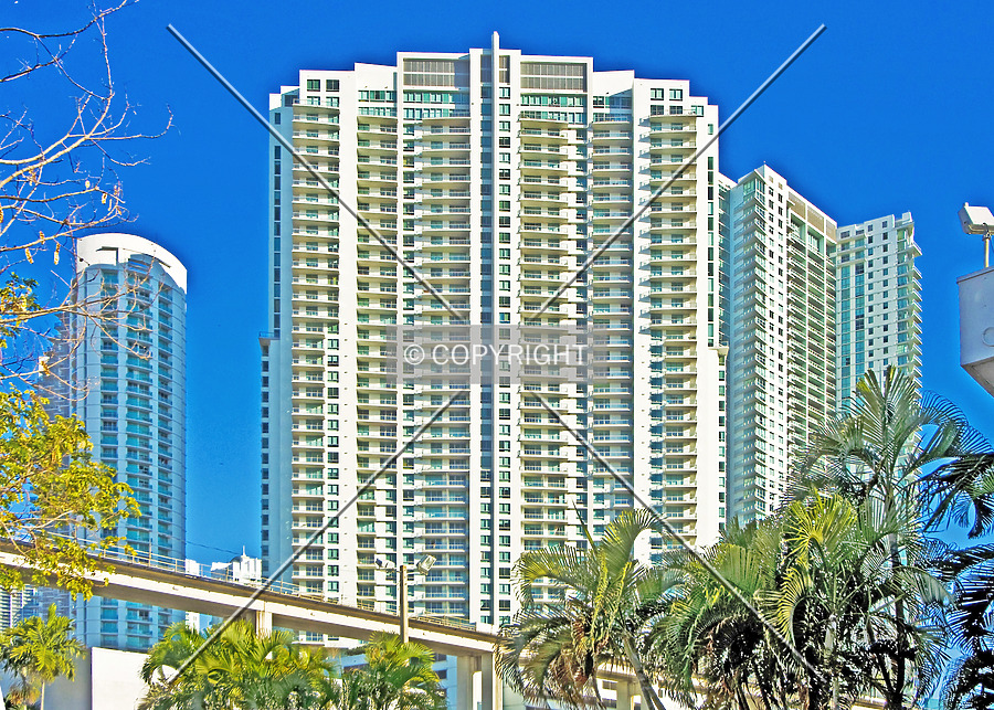 The Ivy by Jorge Molina