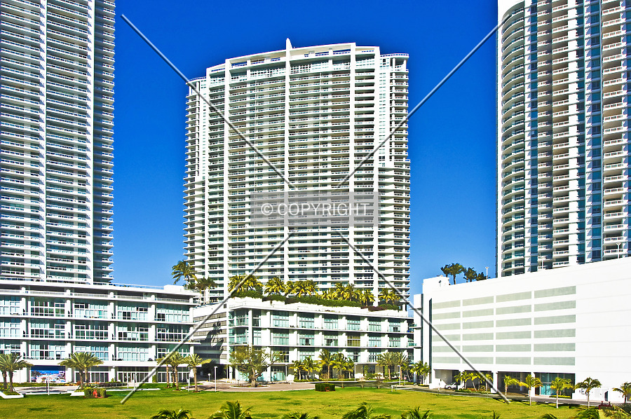 The Ivy by Jorge Molina