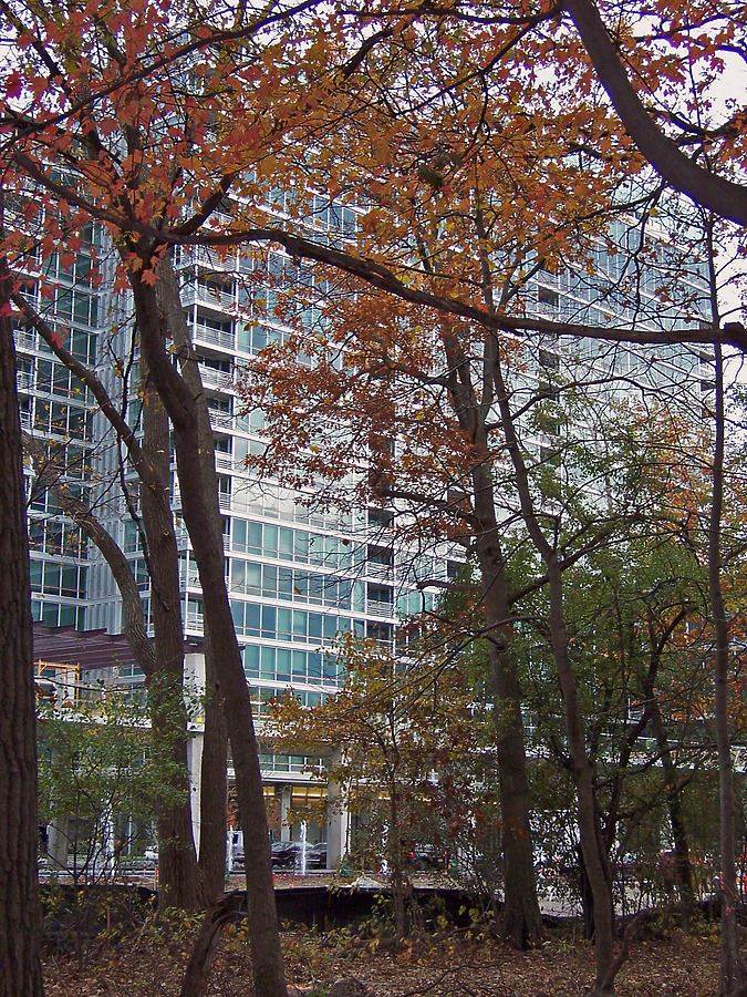 Optima Old Orchard Woods by Shawn Ursini