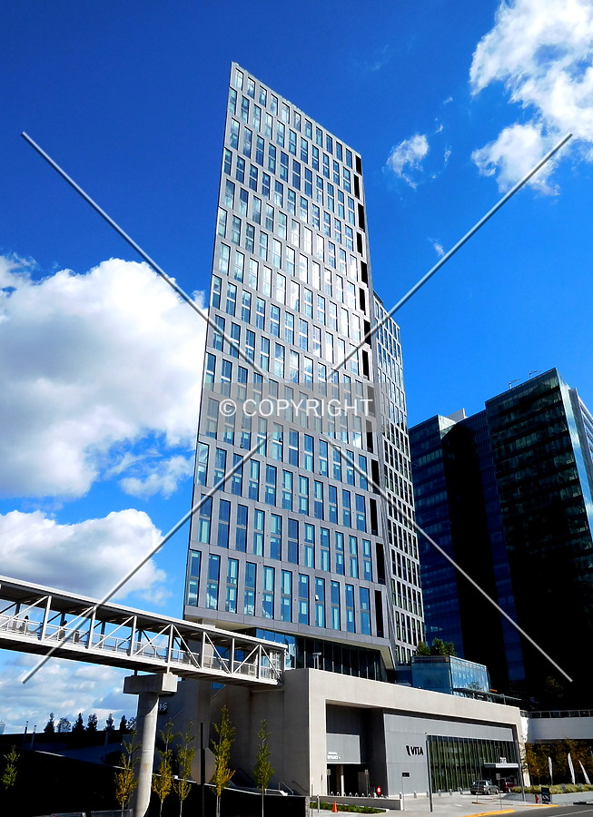 Vita by Chris Patriarca