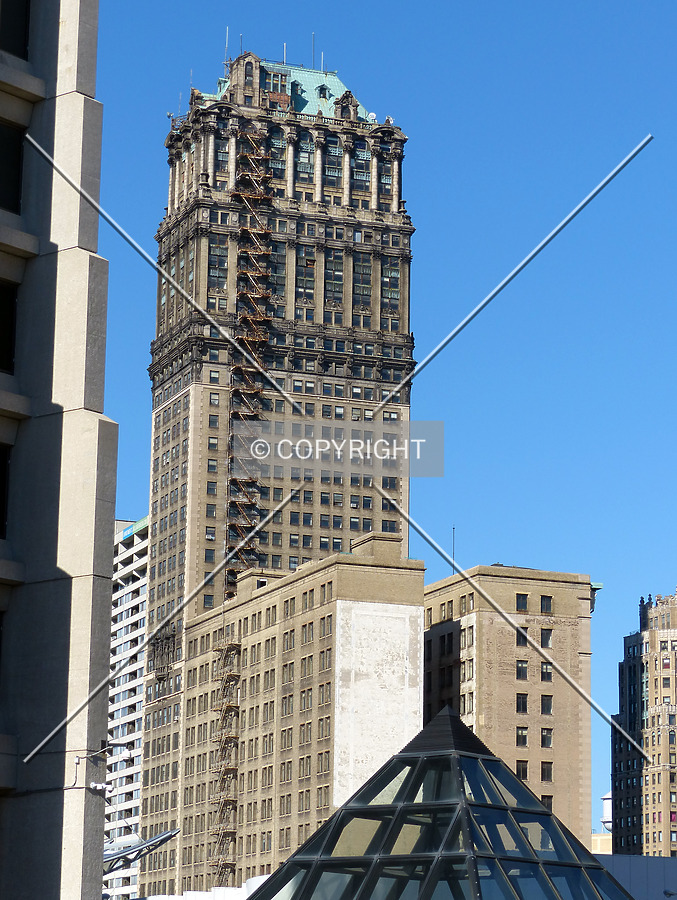 Book Tower by Nate Lindsey