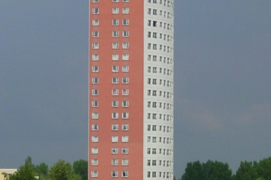 Zilvervos