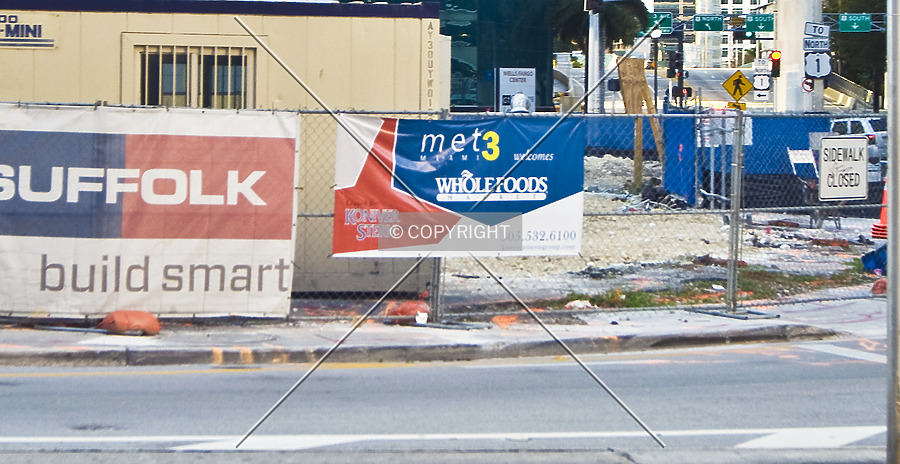 Monarc at Met 3 by Jorge Molina