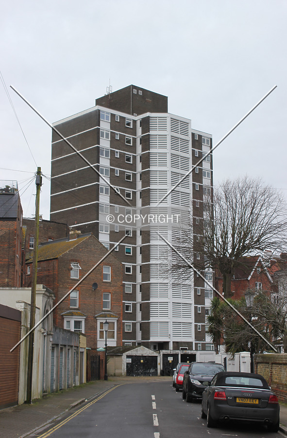 Rose Tower by Florian Barbier