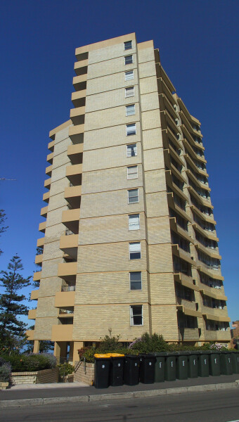 The Pines
